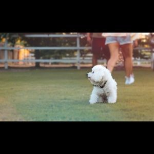 Meet your Posher, Emma